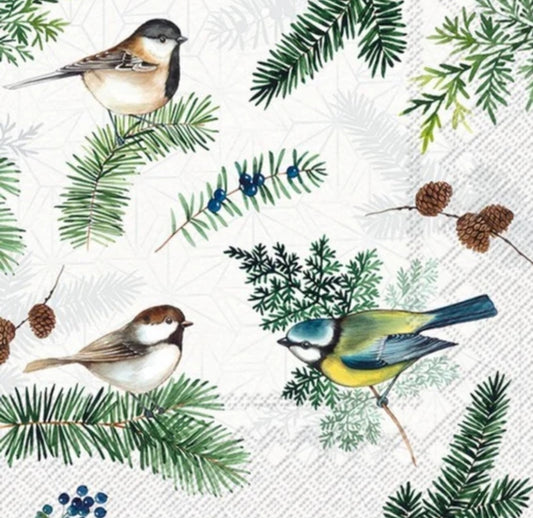 Christmas Birds Pine Branches  -Luncheon Size