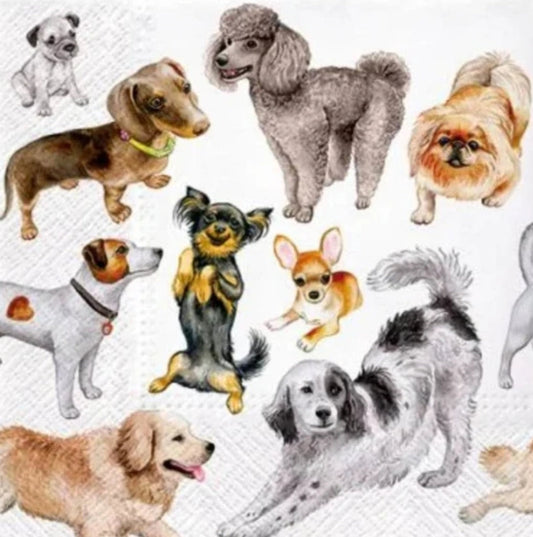 Dog Variety Paper Napkin - Luncheon Size