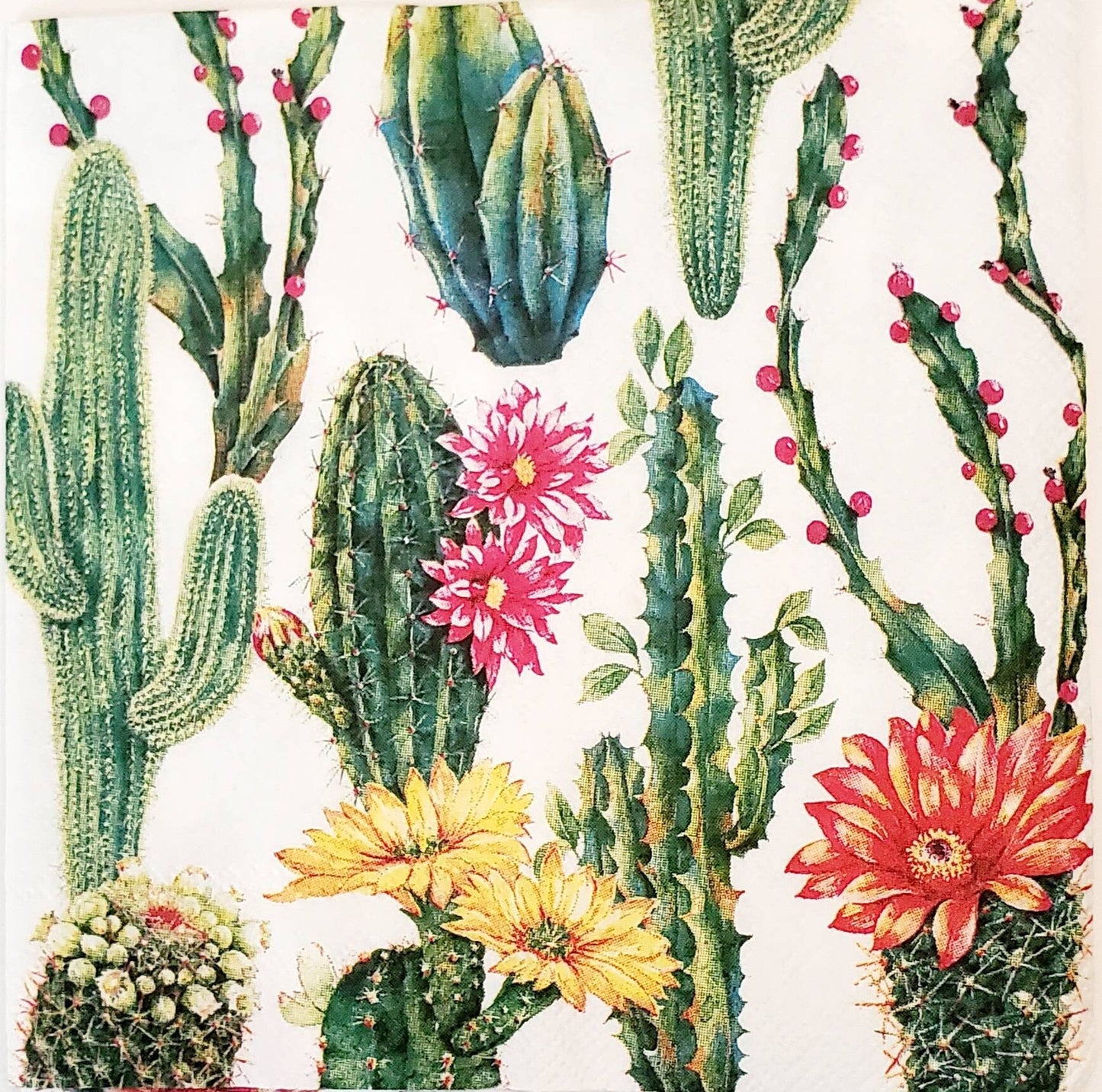 Cactus Paper Napkin - Cocktail Size