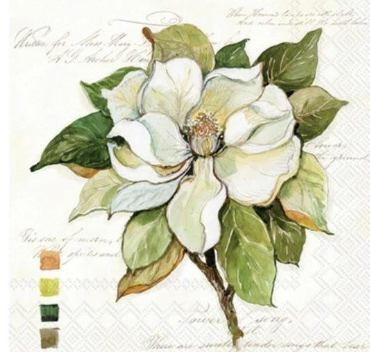 Magnolia Flower Paper Napkin - Cocktail Size