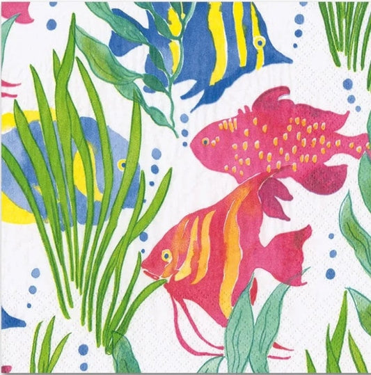 Tropical Fish Paper Napkin - Cocktail Size