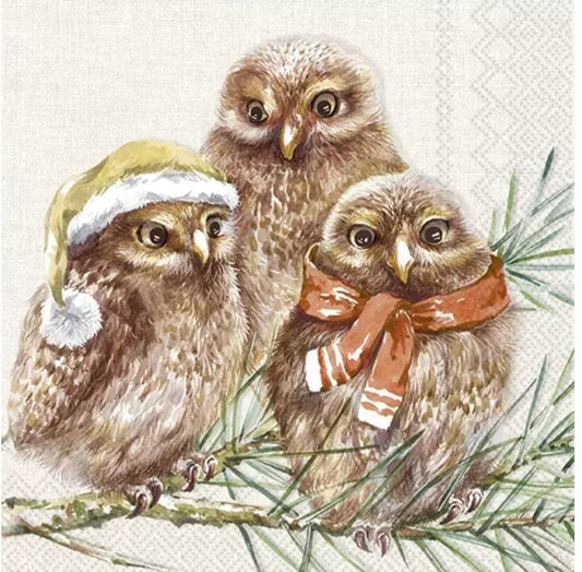 Owl Paper Napkin - Cocktail Size