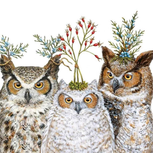 Christmas Owl Birds  - Cocktail Size