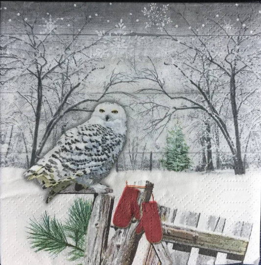 Christmas Owl Snow Paper Napkin - Cocktail Size