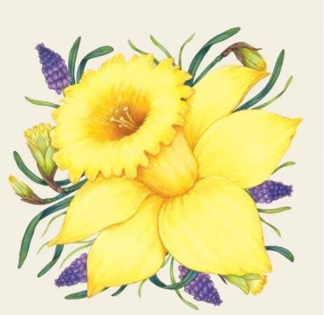 Spring Daffodil Flower Paper Napkin - Cocktail Size