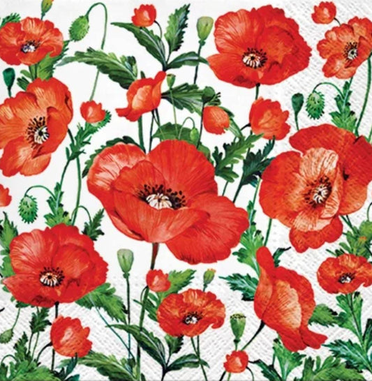 Poppy Paper Napkin - Luncheon Size