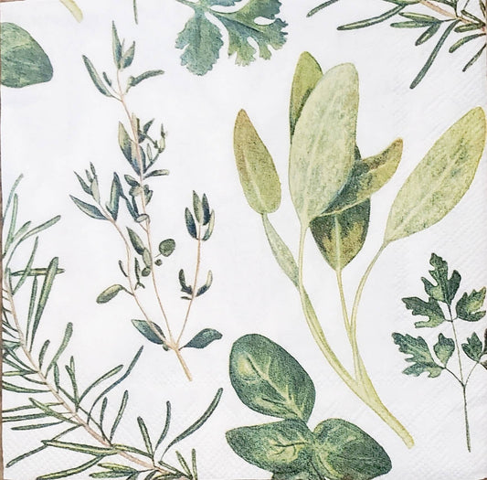 Herbs Paper Napkin - Cocktail Size