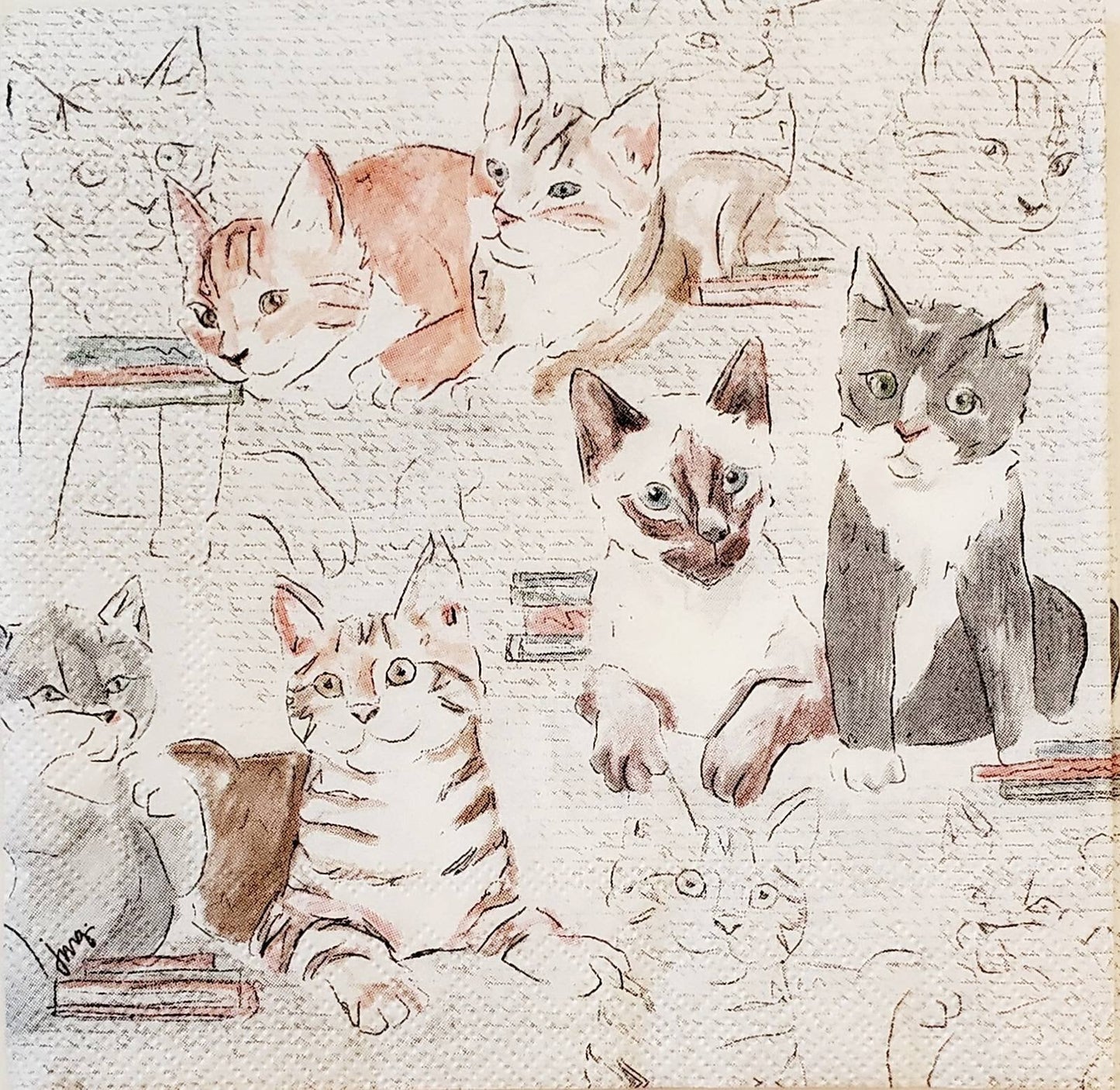 Cat Library Paper Napkin - Cocktail Size