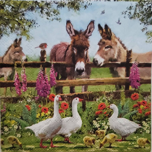 Donkey Paper Napkin - Cocktail Size
