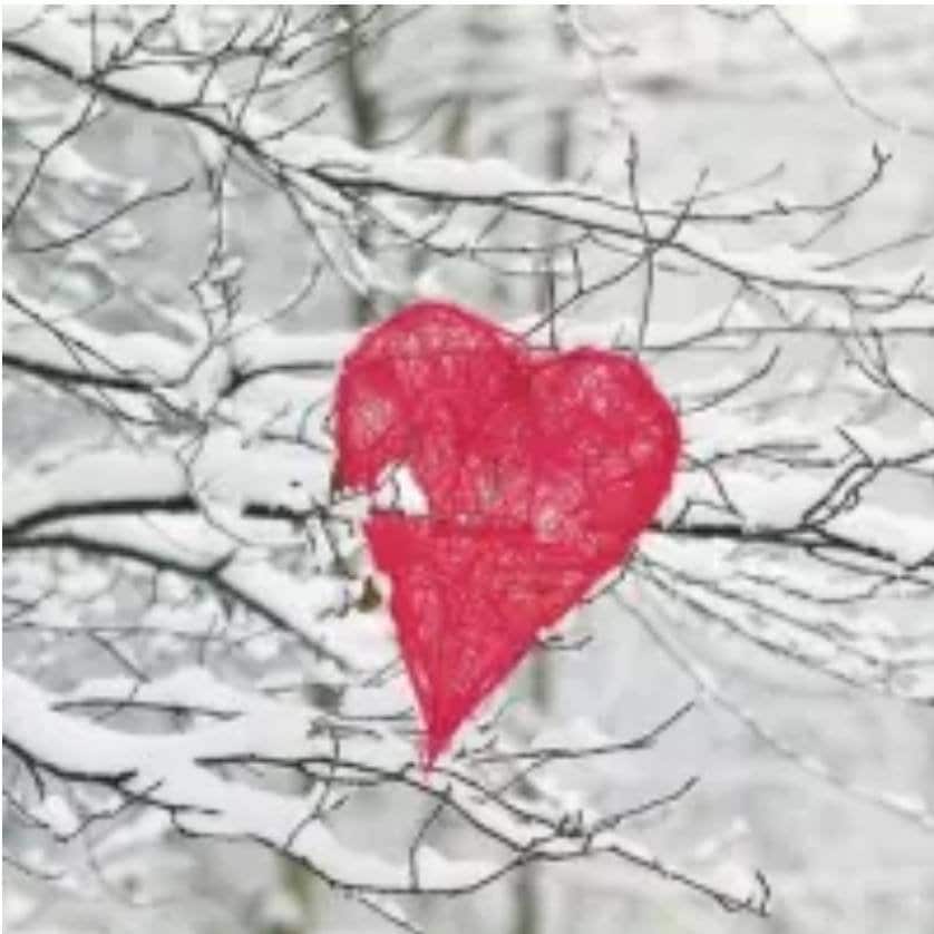 Christmas Winter Tree Heart Paper Napkin - Cocktail Size