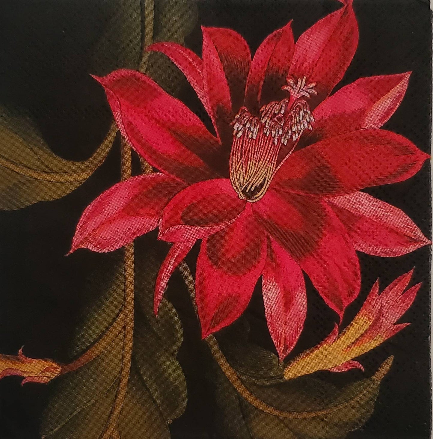 Gothic Desert Flower Cactus Paper Napkin - Cocktail Size