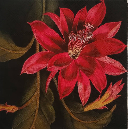 Gothic Desert Flower Cactus Paper Napkin - Cocktail Size