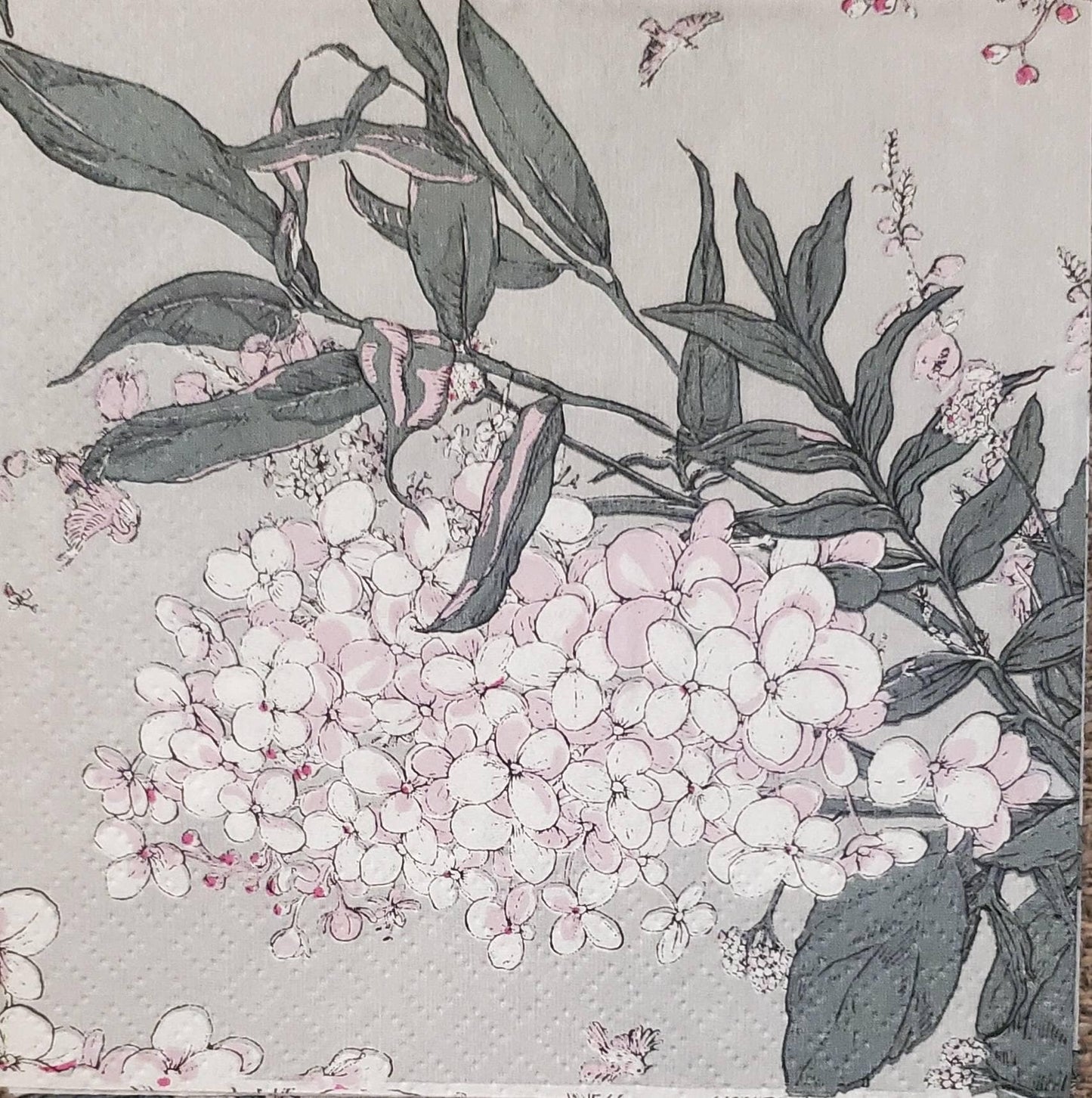 Elderberry Flower Pink & Gray  - Cocktail Size