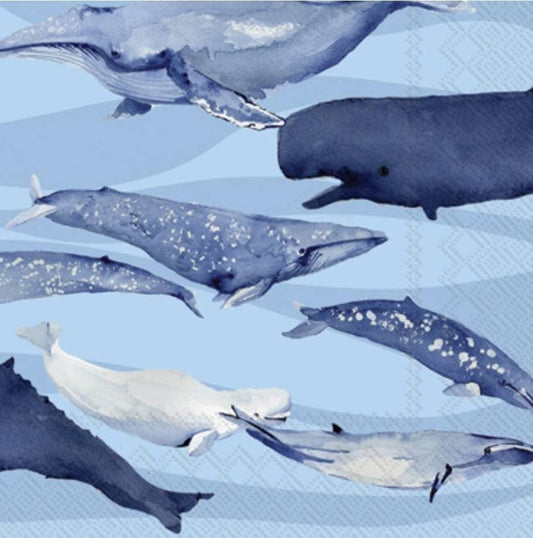 Whale Paper Napkin - Luncheon Size