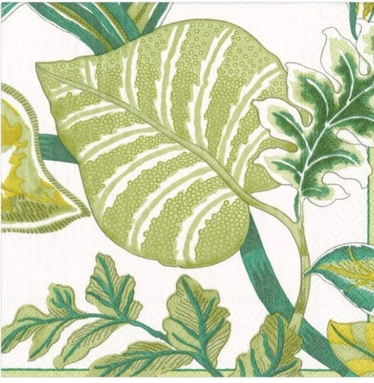 Tropical Leaves Plants Paper Napkin - Cocktail Size