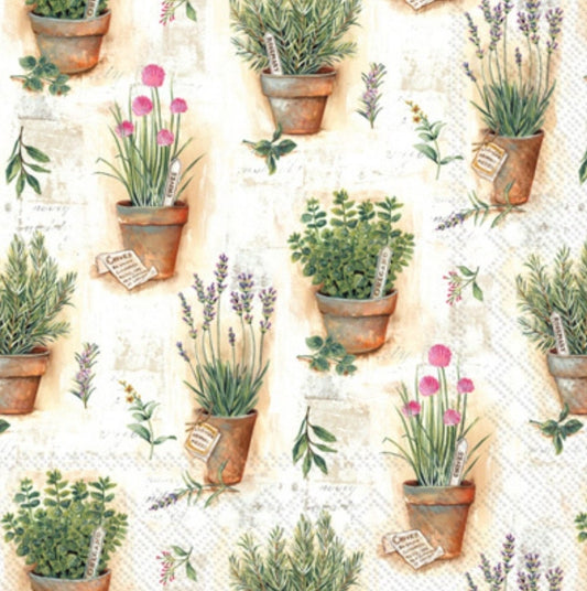 Herb Pots Paper Napkin - Cocktail Size