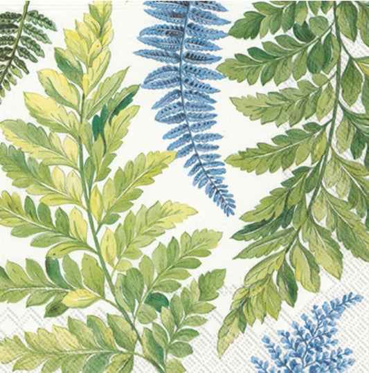 Fern Paper Napkin - Cocktail Size
