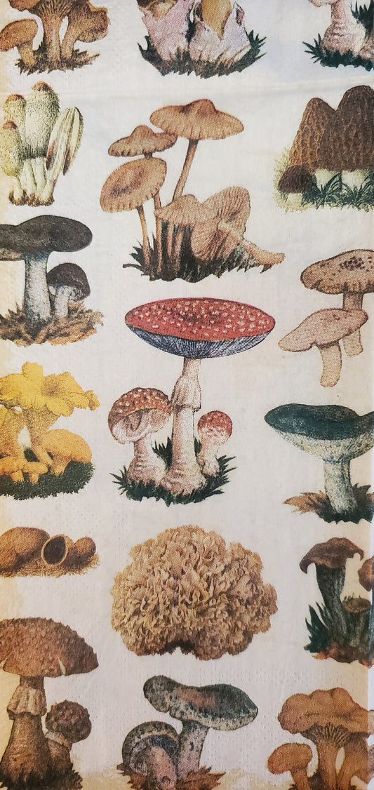 Vintage Mushroom Botanical Paper Napkin - Guest Size