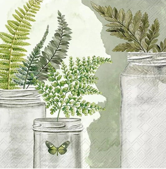 Fern in Jars Paper Napkin - Luncheon Size