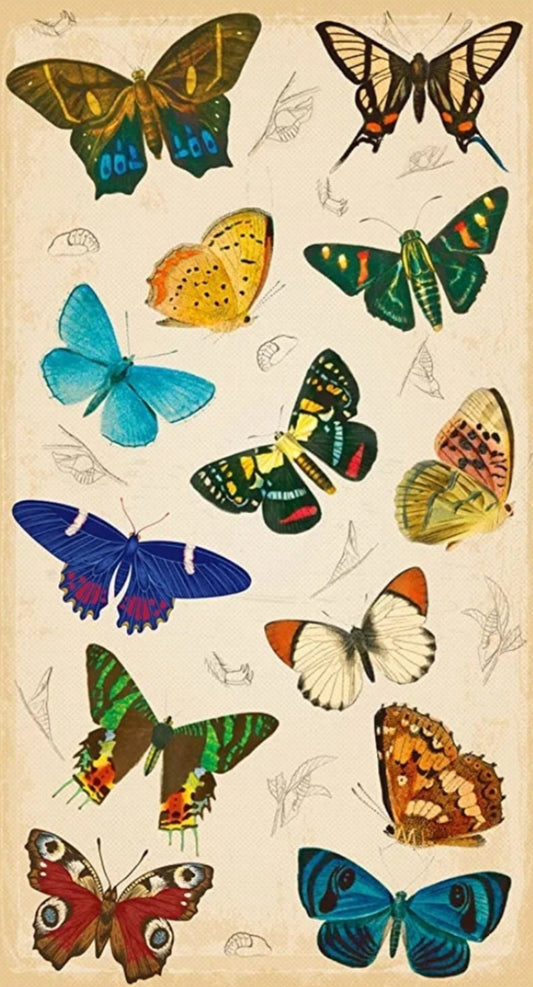 Vintage Butterfly Paper Napkin - Guest Size
