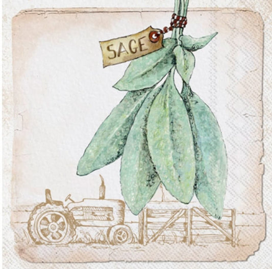 Sage Herb Paper Napkin - Luncheon Size