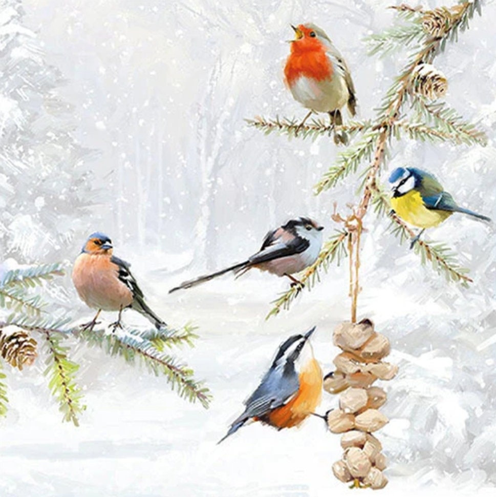 Winter Birds Paper Napkin - Luncheon Size