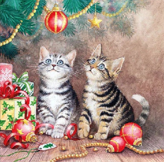 Christmas Kittens  - Cocktail Size
