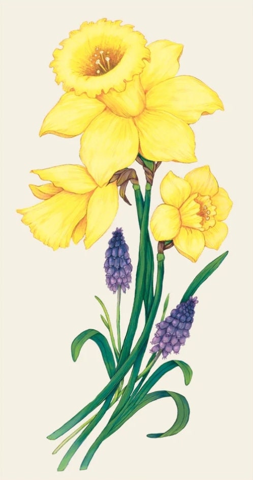 Vintage Daffodil Paper Napkin -  Guest Size
