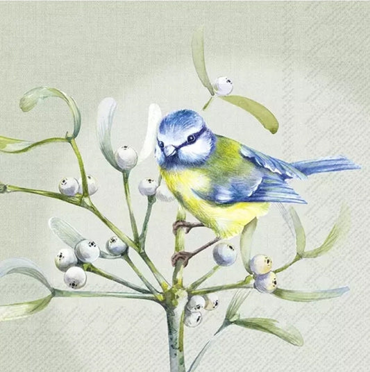 BlueBird Titmice Mistletoe Paper Napkin - Luncheon Size