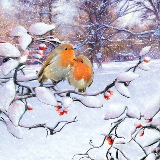 Christmas Robin Birds in Snow Paper Napkin - Cocktail Size