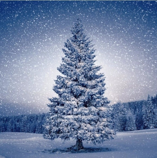 Blue Christmas Tree Paper Napkin - Luncheon Size