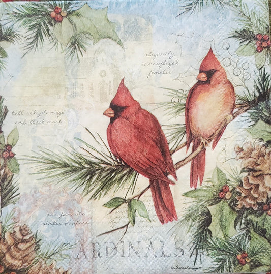 Christmas Cardinal Bird Couple Paper Napkin - Cocktail Size