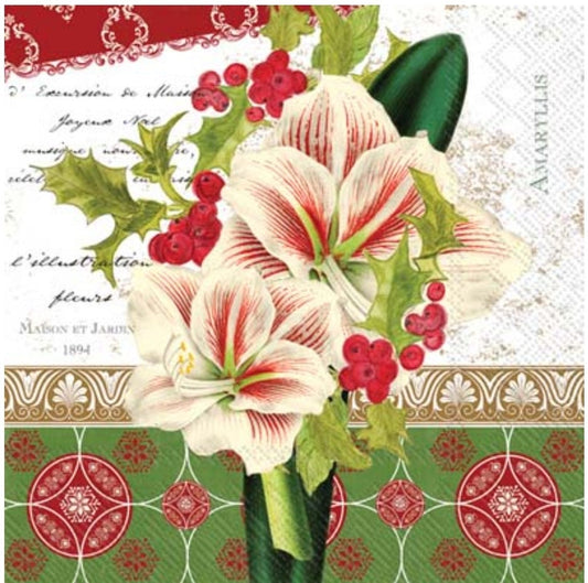 Christmas Amaryllis Flower Paper Napkin - Cocktail Size