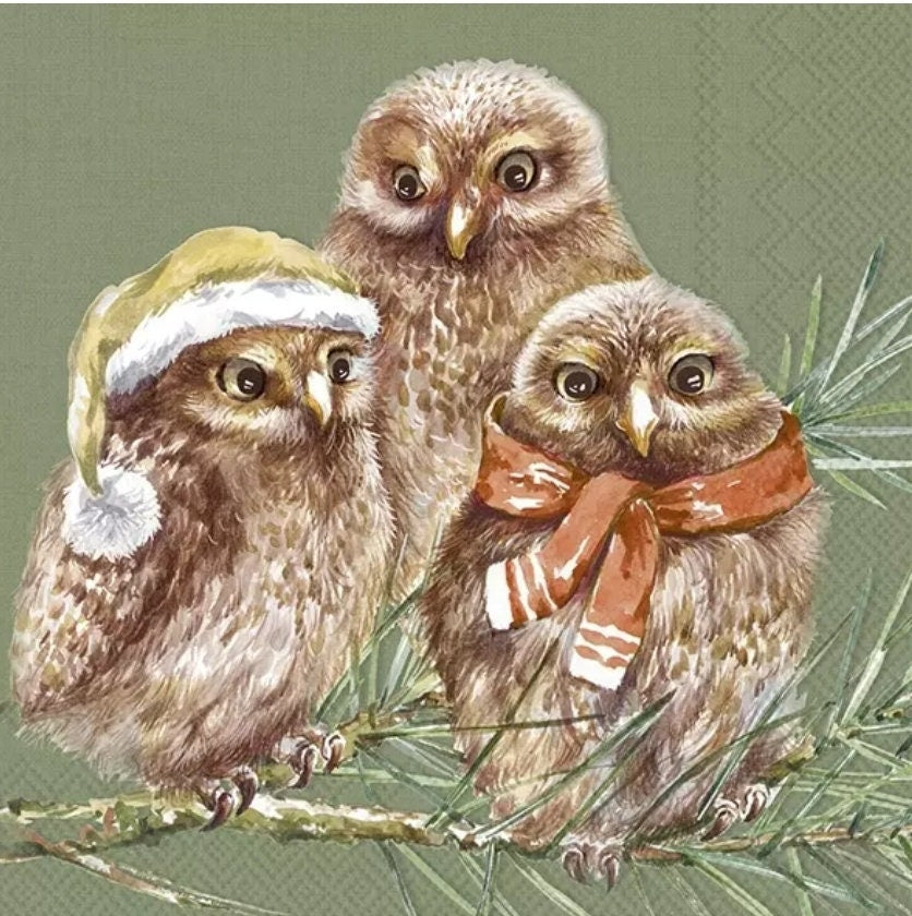 Winter Owl Paper Napkin - Cocktail Size