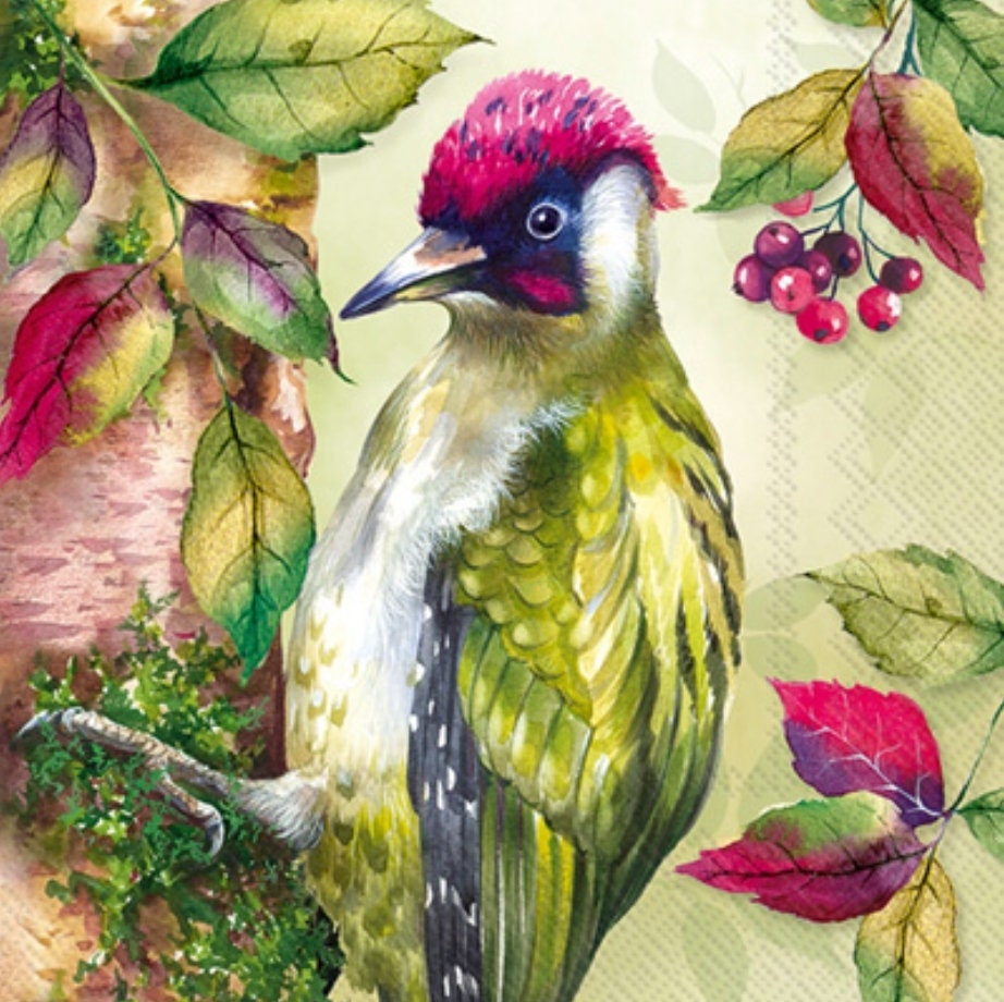 Woodpecker Bird Tree Nature Paper Napkin - Luncheon Size