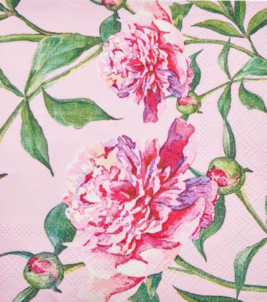 Peony Rose Flower Paper Napkin - Cocktail Size
