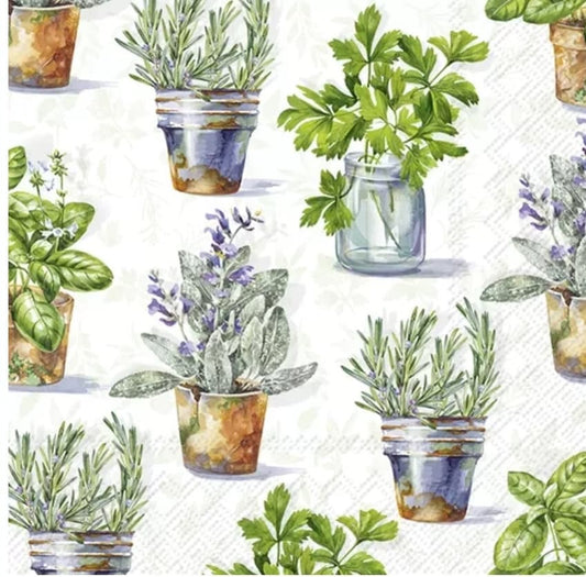 Herb Pots Paper Napkin - Luncheon Size