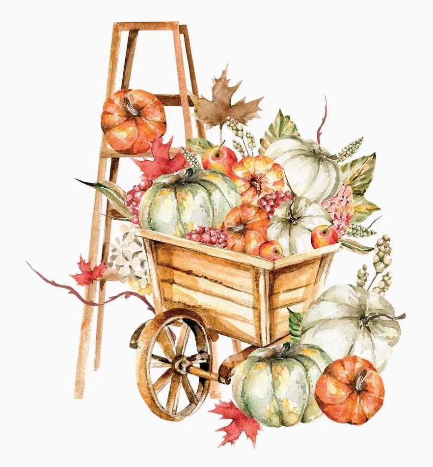 Fall Pumpkin Harvest Paper Napkin - Cocktail Size