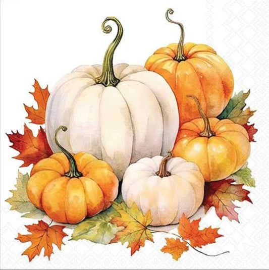 Pumpkins Paper Napkin - Luncheon Size