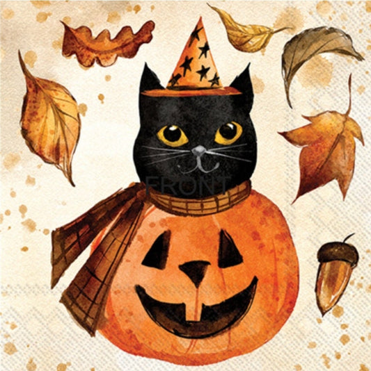 Halloween Black Cat Jack O Lantern Paper Napkin - Cocktail Size