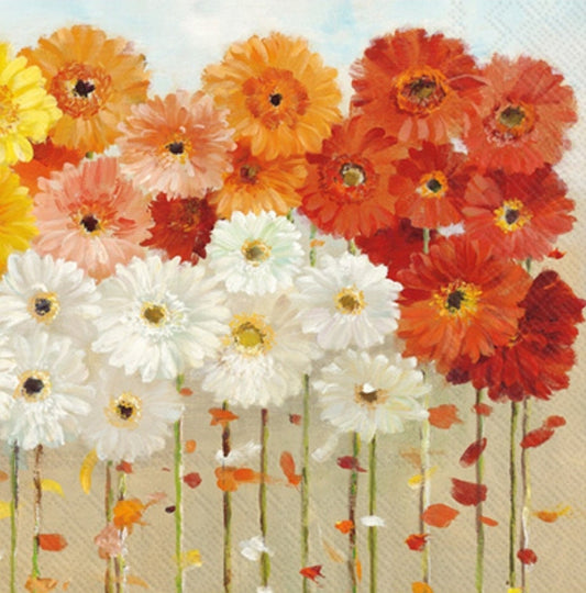 Fall Gerber Daisy Flower Paper Napkin - Cocktail Size