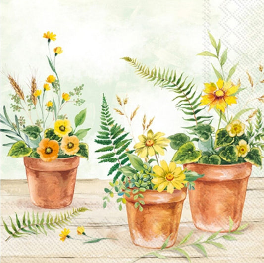 Flowers in Pots Paper Napkin - Cocktail Size