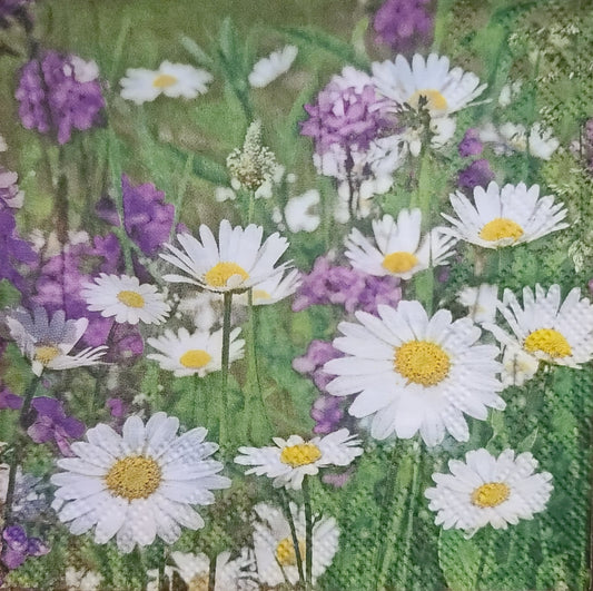 Daisy Meadow Paper Napkin - Cocktail Size