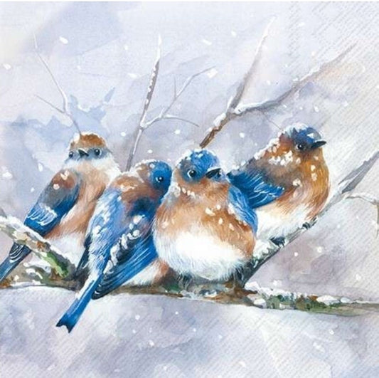 Christmas Blue Birds on Branch Paper Napkin - Luncheon Size