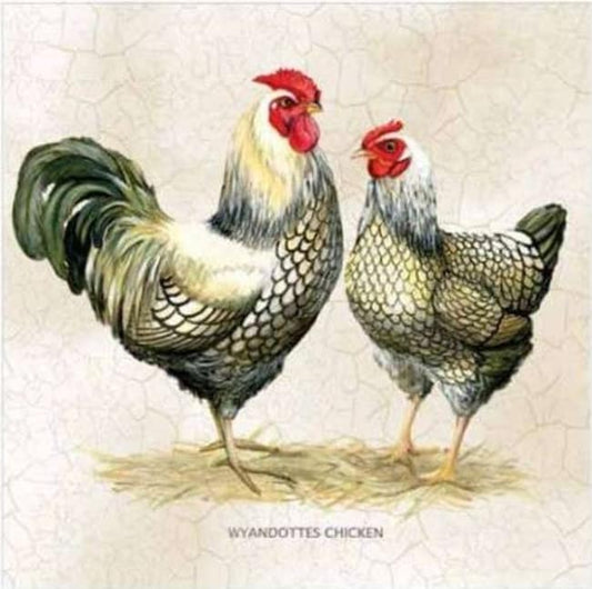 Chicken Couple Paper Napkin - Luncheon Size