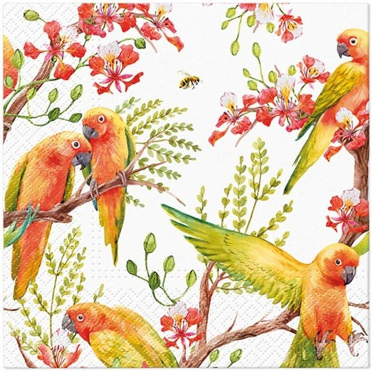 Tropical Birds Parrots Paper Napkin - Luncheon Size