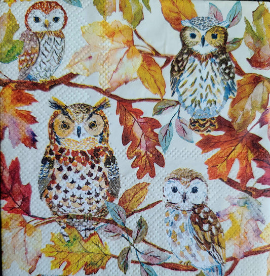 Fall Owls Paper Napkin - Cocktail Size