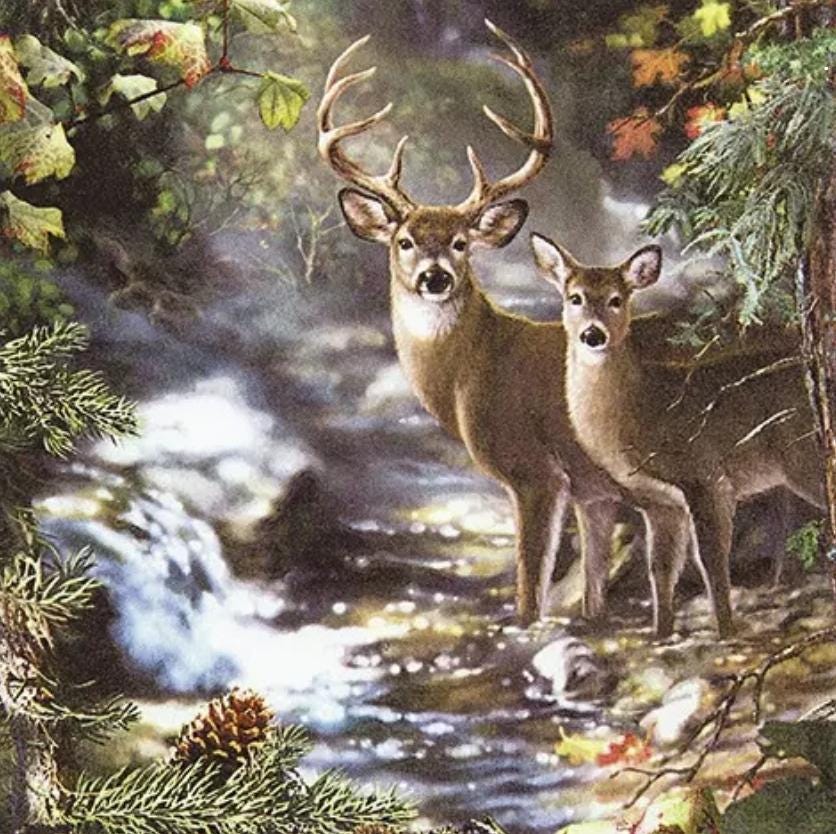 Deer Creek Paper Napkin - Luncheon Size