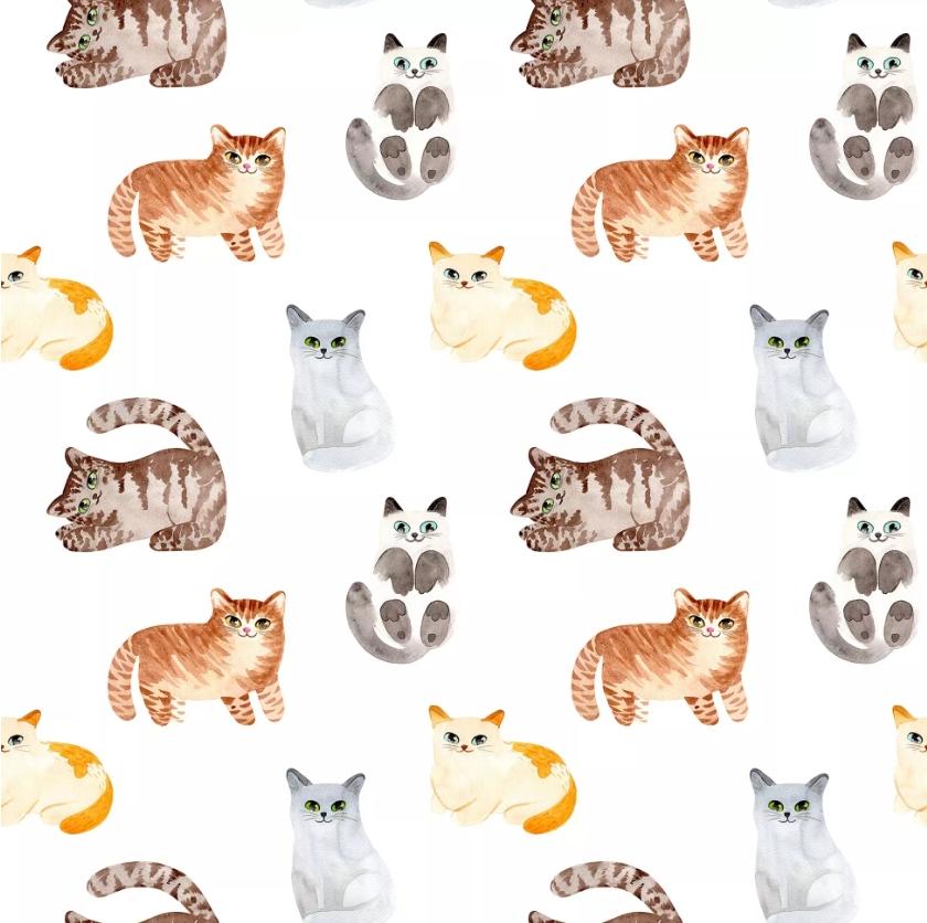 Cat Paper Napkin - Luncheon Size