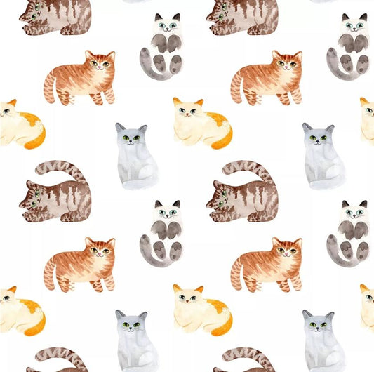 Cat Paper Napkin - Luncheon Size